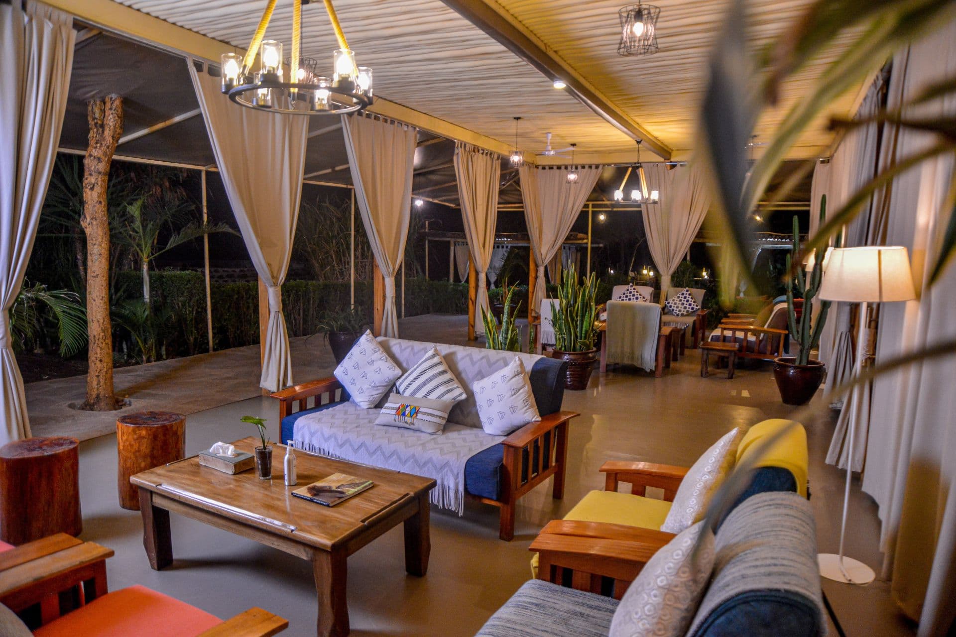 Zebra plains Mara Camp 2
