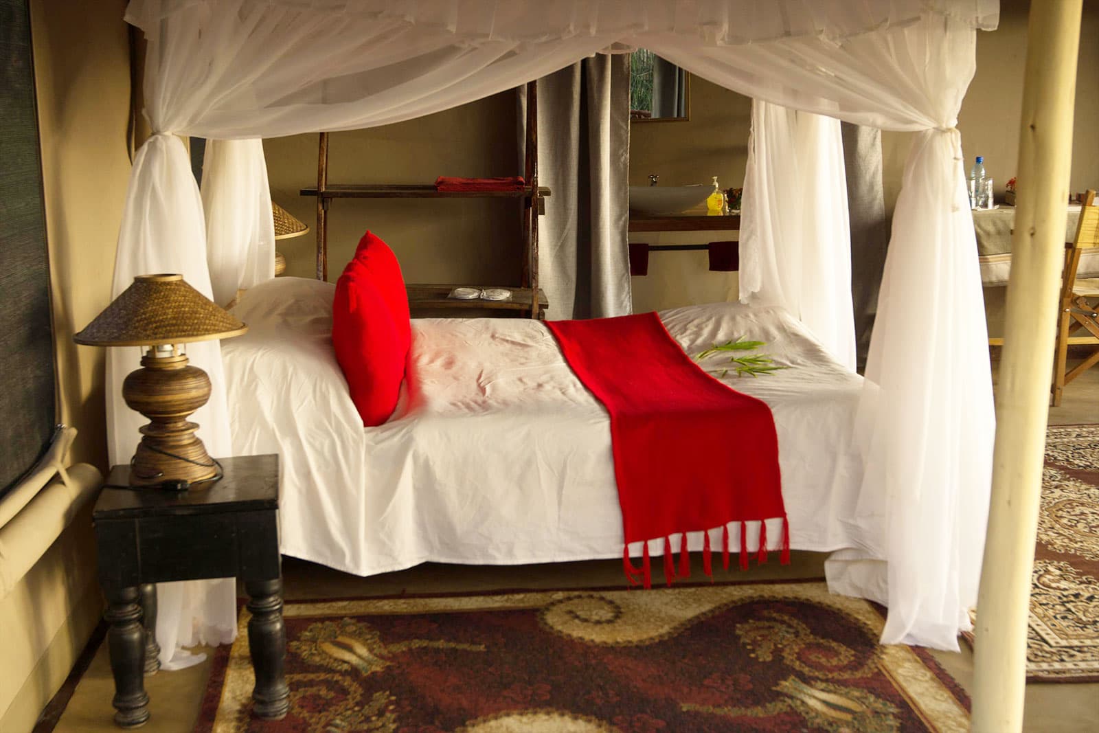 Zebra plains Mara Camp 5