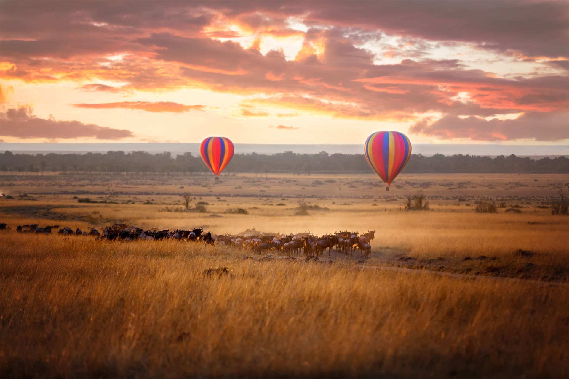8-Day Kenya Big Five Safari